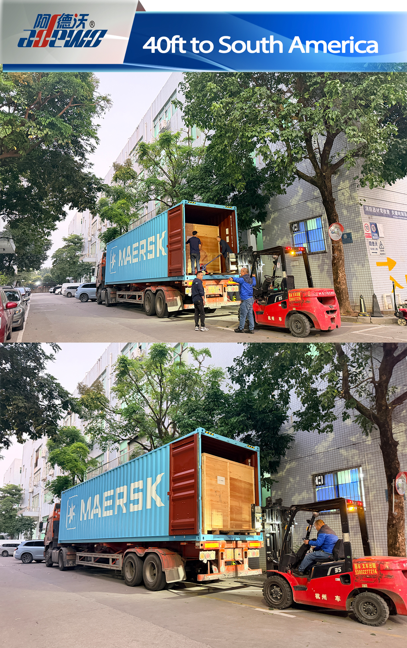 Sfârșitul perfect al anului 2025!